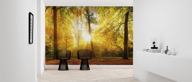PHOTOWALL / Gorgeous Forest in Autumn (e318287)