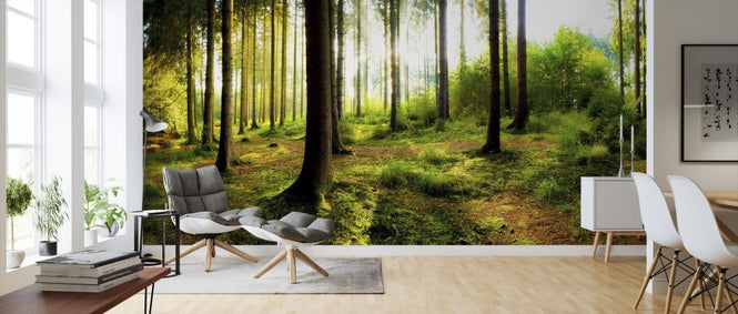 PHOTOWALL / Woodland (e318290)