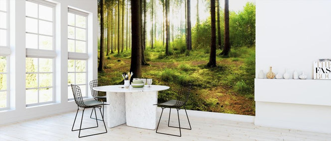 PHOTOWALL / Woodland (e318290)