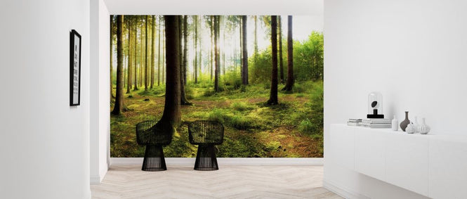 PHOTOWALL / Woodland (e318290)