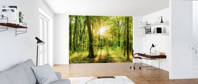 PHOTOWALL / Let it Shine (e318292)