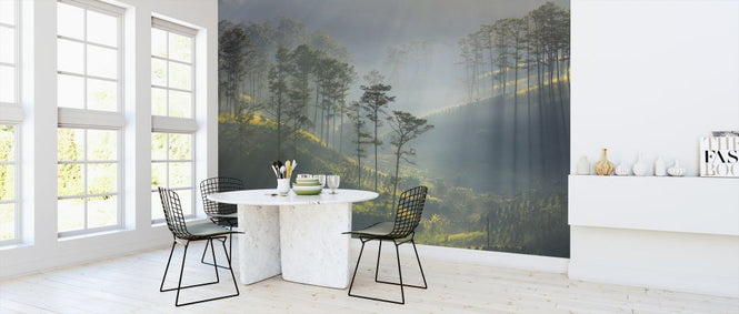 PHOTOWALL / Sun Ray Forest (e318294)