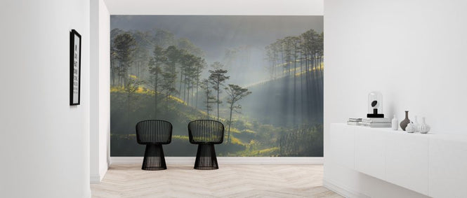 PHOTOWALL / Sun Ray Forest (e318294)