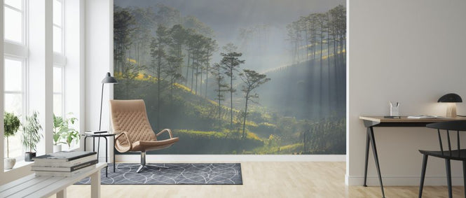 PHOTOWALL / Sun Ray Forest (e318294)
