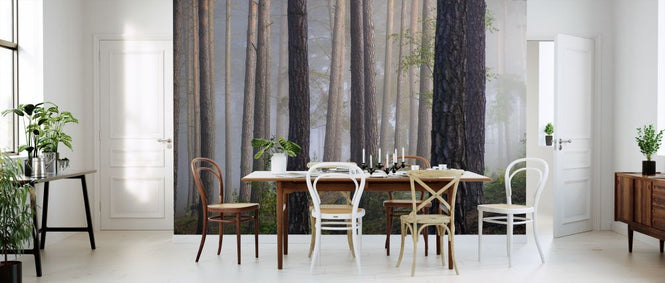 PHOTOWALL / Foggy Forest (e318300)