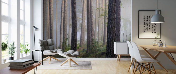 PHOTOWALL / Foggy Forest (e318300)
