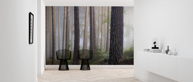 PHOTOWALL / Foggy Forest (e318300)
