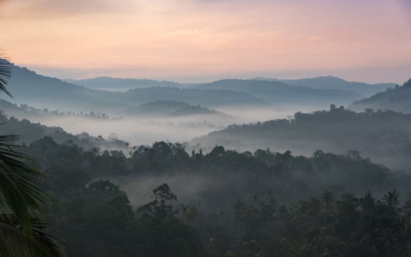 PHOTOWALL / Misty Hills at Sunrise (e318301)