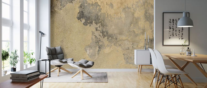 PHOTOWALL / Wall Attritions and Cracks (e318147)