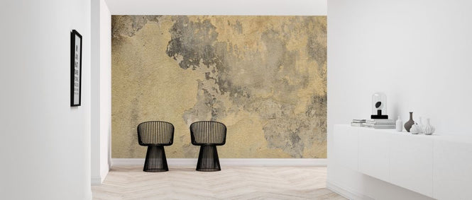 PHOTOWALL / Wall Attritions and Cracks (e318147)