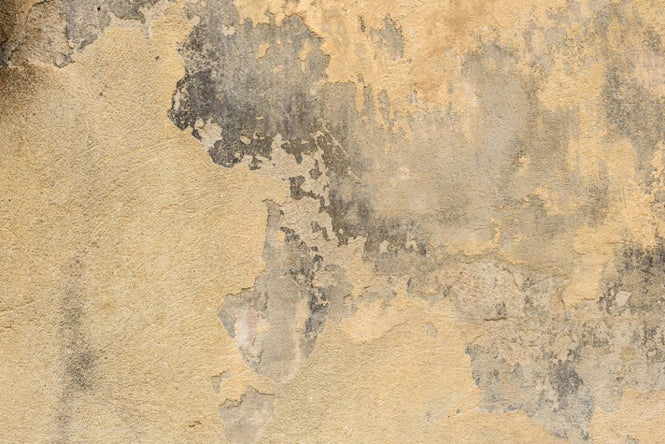 PHOTOWALL / Wall Attritions and Cracks (e318147)