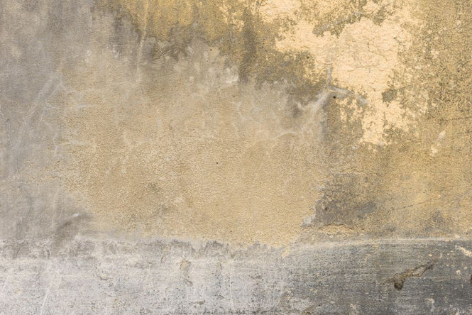 PHOTOWALL / Wall Attritions and Cracks II (e318148)