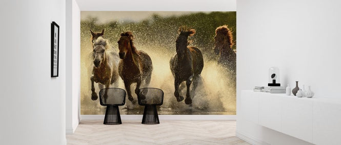 PHOTOWALL / Horses in River (e318326)
