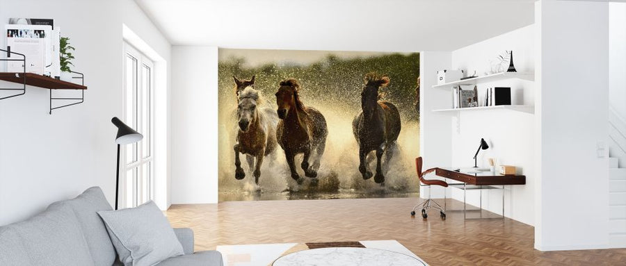 PHOTOWALL / Horses in River (e318326)