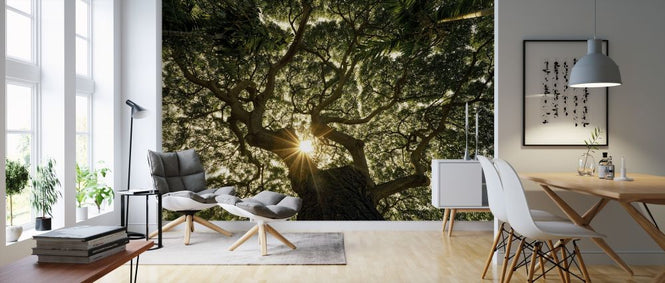 PHOTOWALL / Tree Canopy (e318330)