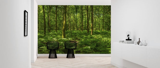 PHOTOWALL / Fern Frond Forest (e318334)