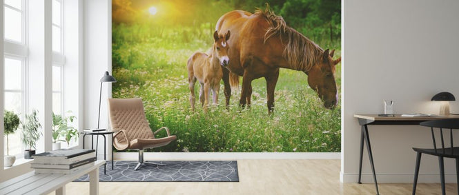 PHOTOWALL / Mare and Foal Unicorn (e318335)