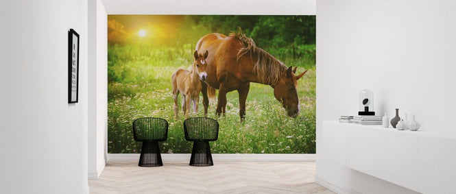 PHOTOWALL / Mare and Foal Unicorn (e318335)