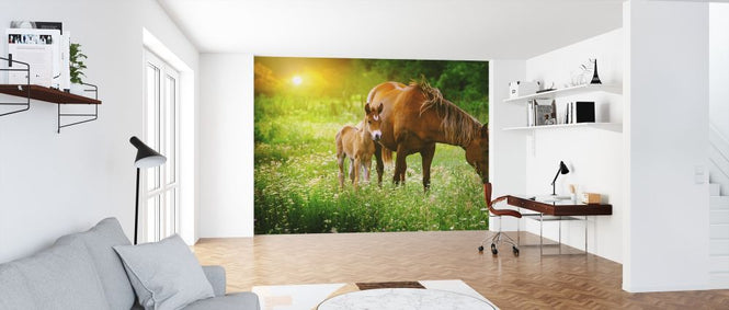 PHOTOWALL / Mare and Foal Unicorn (e318335)