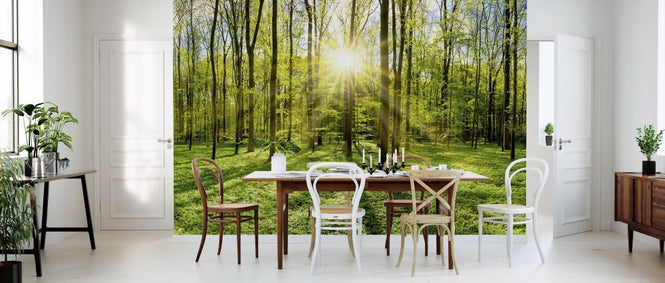 PHOTOWALL / Bright Sunshine in the Forest (e318338)