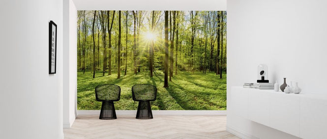 PHOTOWALL / Bright Sunshine in the Forest (e318338)