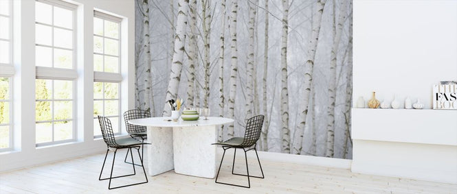 PHOTOWALL / Birch Tree Forest (e318343)