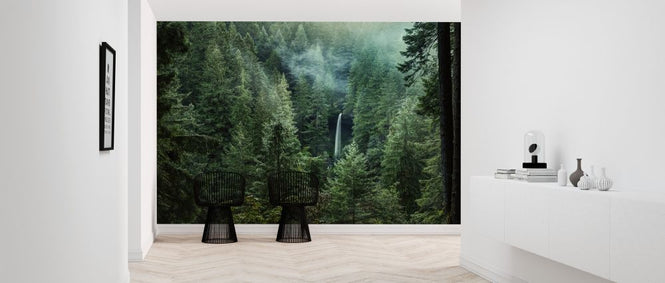 PHOTOWALL / Silver Falls State Park (e318344)