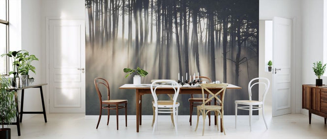 PHOTOWALL / Morning Ray in Pine Forest (e318346)