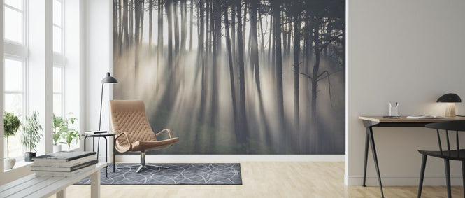 PHOTOWALL / Morning Ray in Pine Forest (e318346)