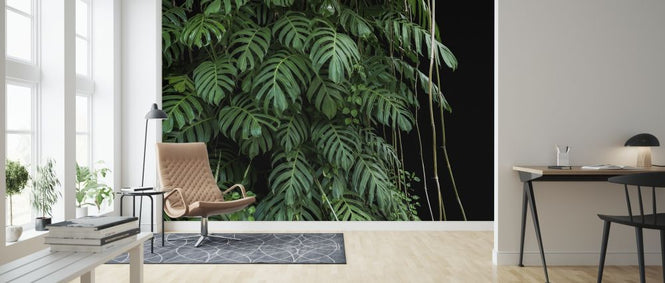 PHOTOWALL / Monstera Tropical Plant (e318353)