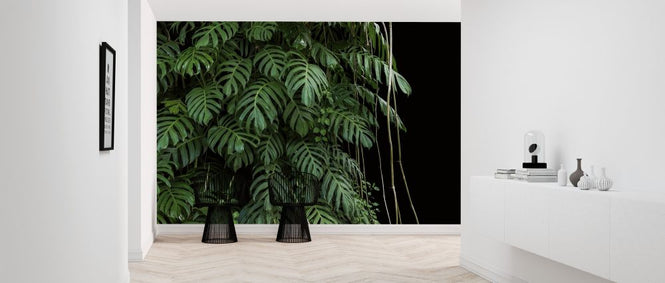 PHOTOWALL / Monstera Tropical Plant (e318353)