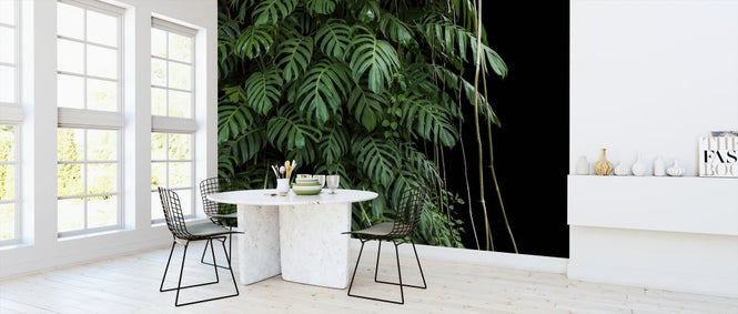 PHOTOWALL / Monstera Tropical Plant (e318353)