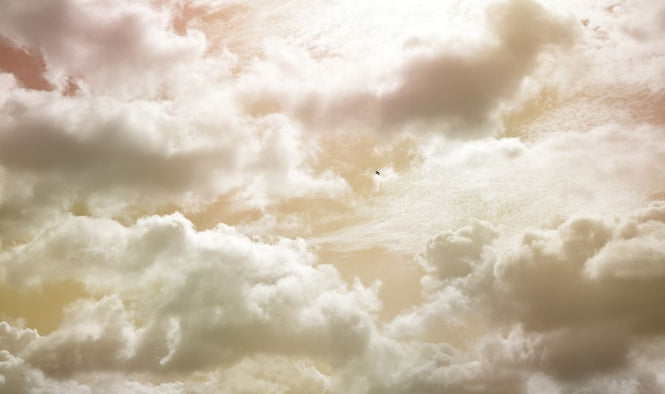 PHOTOWALL / Cloudy Sky (e318369)
