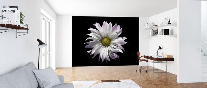 PHOTOWALL / Daisy Flower (e318375)