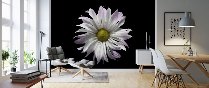 PHOTOWALL / Daisy Flower (e318375)