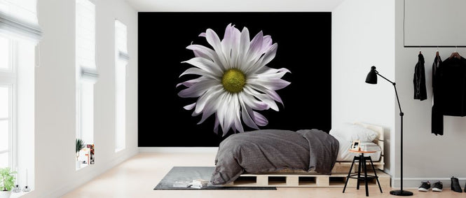 PHOTOWALL / Daisy Flower (e318375)