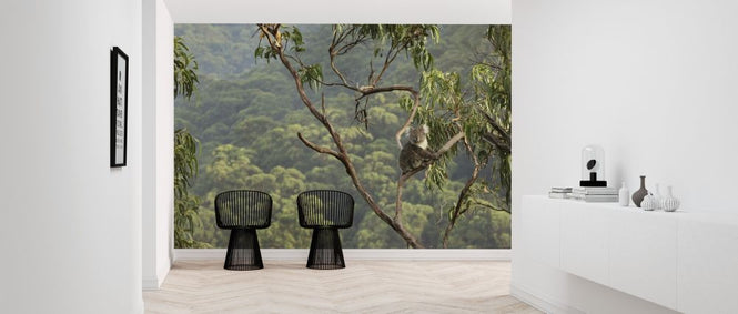 PHOTOWALL / Koala Tree (e318379)