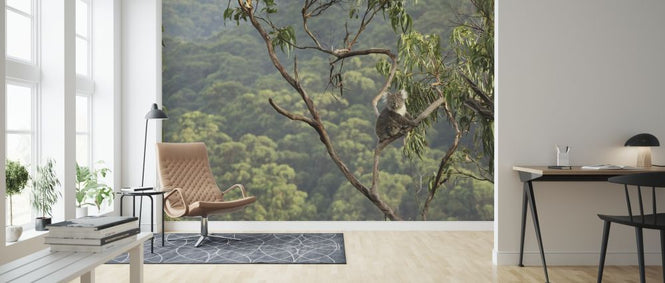 PHOTOWALL / Koala Tree (e318379)