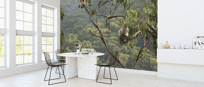 PHOTOWALL / Koala Tree (e318379)