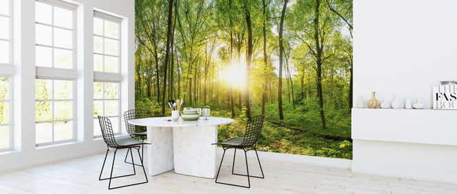 PHOTOWALL / Forest Sunrise (e318383)
