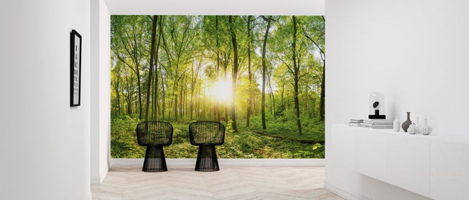 PHOTOWALL / Forest Sunrise (e318383)