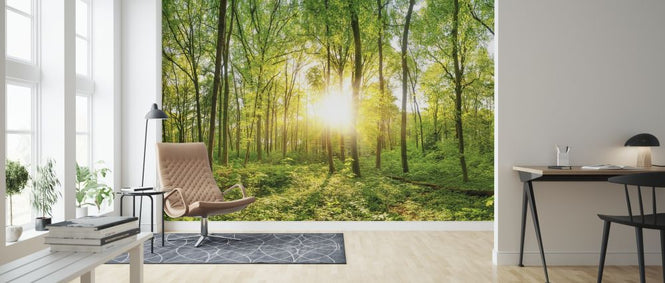 PHOTOWALL / Forest Sunrise (e318383)