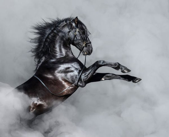 PHOTOWALL / Horse Rearing in Smoke (e318386)