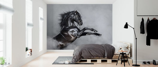 PHOTOWALL / Horse Rearing in Smoke (e318386)