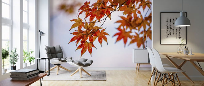 PHOTOWALL / Maple Autumn Leaves (e318387)