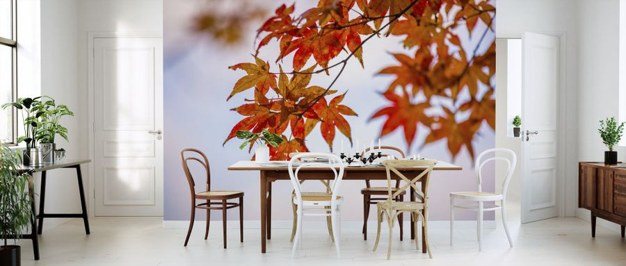 PHOTOWALL / Maple Autumn Leaves (e318387)
