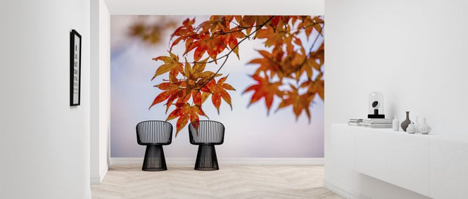 PHOTOWALL / Maple Autumn Leaves (e318387)