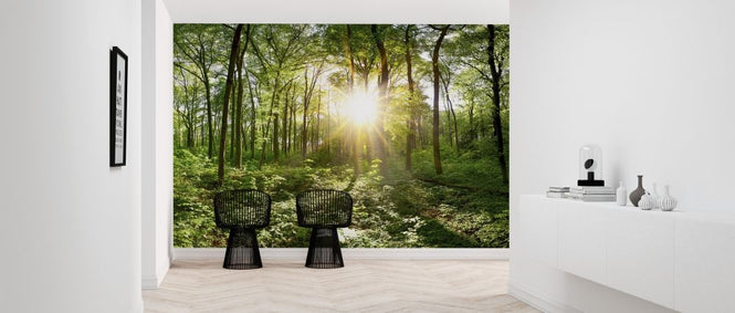 PHOTOWALL / Idyllic Forest at Sunrise (e318404)