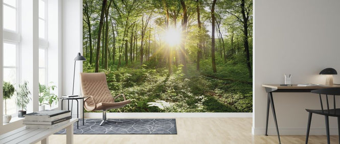 PHOTOWALL / Idyllic Forest at Sunrise (e318404)