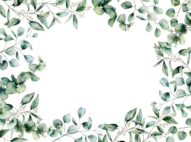 PHOTOWALL / Eucalyptus (e318412)